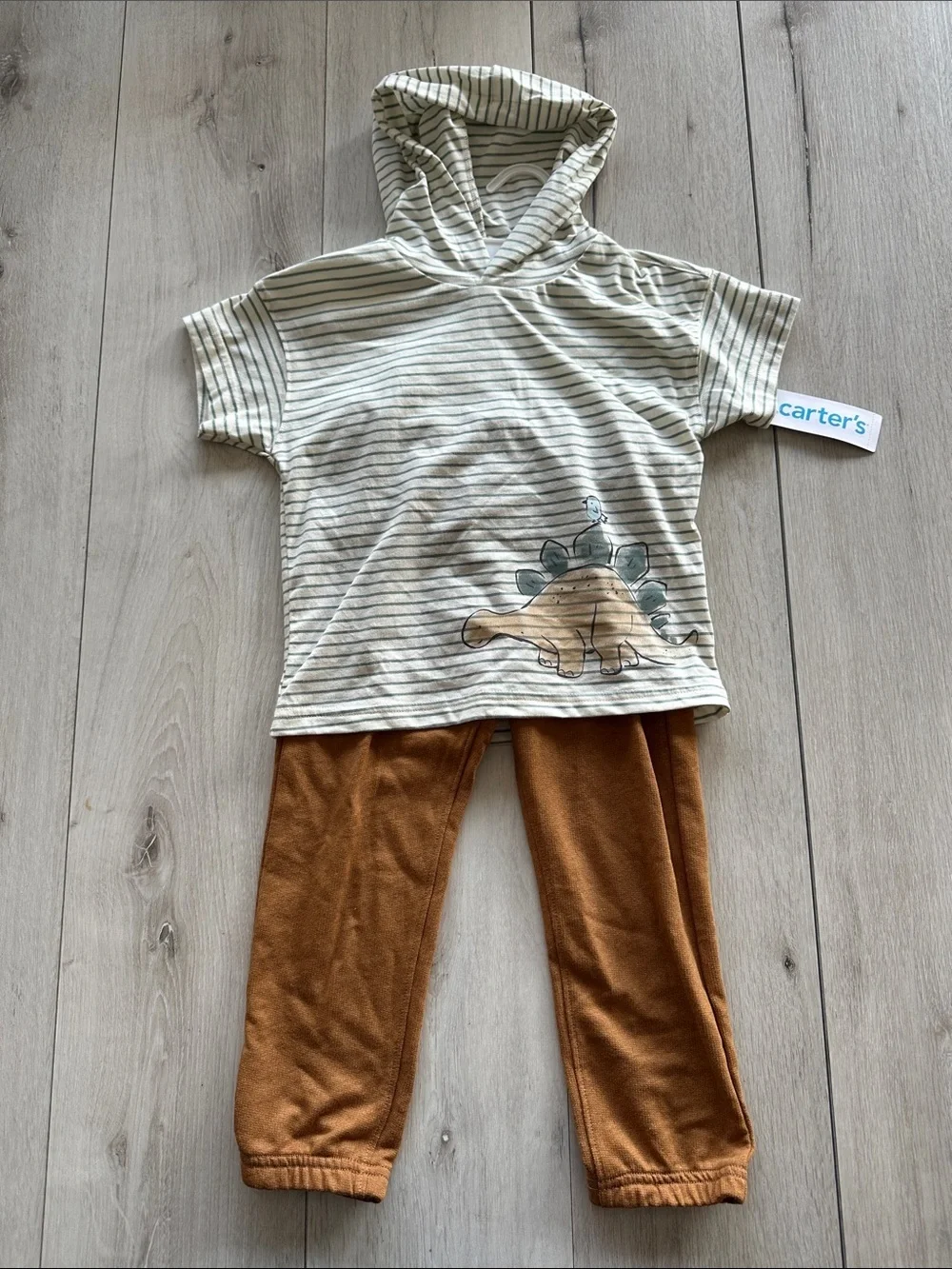 Carter’s 2-Piece Dinosaur Striped Hooded Tee & Jogger Set Multi 4T NWT